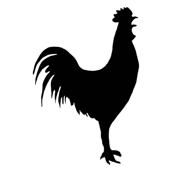 Εικονογράφηση Διάνυσμα Των Πτηνών Μαύρη Σιλουέτα Κόκορα Λευκό Φόντο — Διανυσματικό Αρχείο