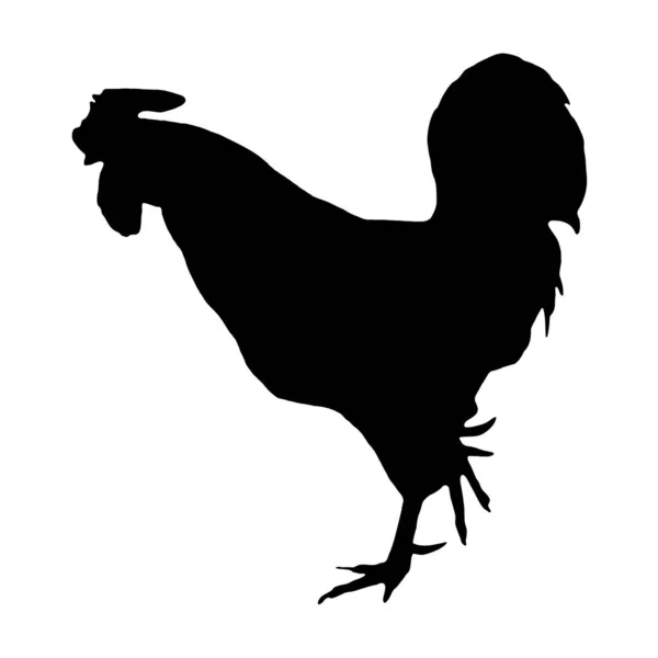 Vektorillustration Von Vögeln Schwarze Silhouette Eines Hahns Auf Weißem Hintergrund — Stockvektor