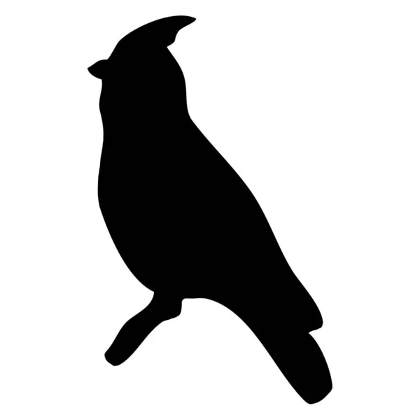 Illustration Vectorielle Botanique Silhouette Noire Oiseau Sur Fond Blanc — Image vectorielle