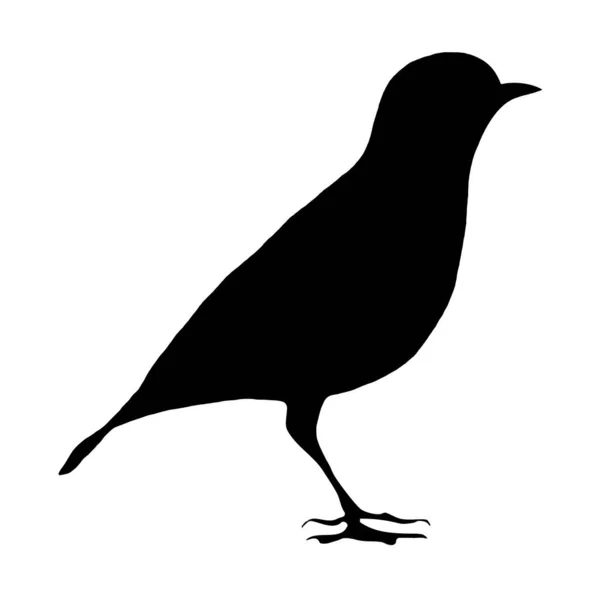 Ilustración Del Vector Botánico Silueta Negra Pájaro Sobre Fondo Blanco — Vector de stock