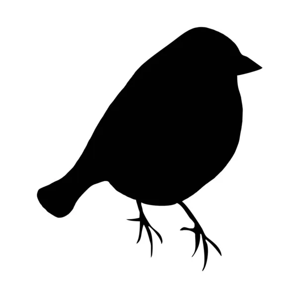 Illustration Vectorielle Botanique Silhouette Noire Oiseau Sur Fond Blanc — Image vectorielle