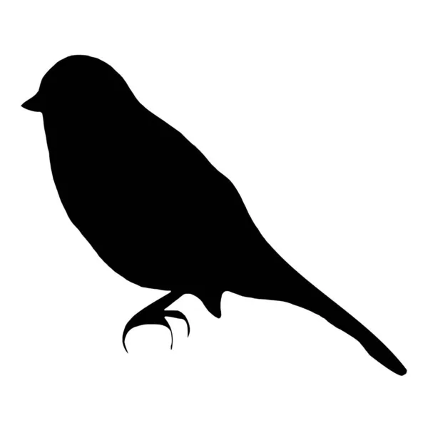 Illustrazione Vettoriale Botanica Silhouette Nera Uccello Sfondo Bianco — Vettoriale Stock