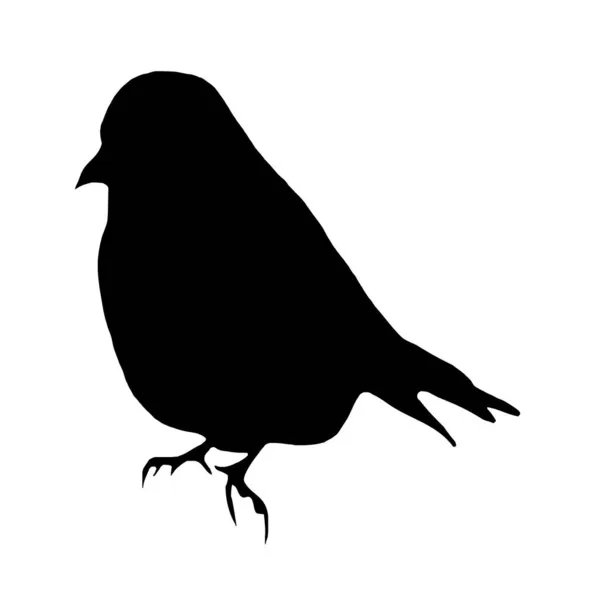 Botanik Vektör Çizimi Beyaz Arka Planda Siyah Bir Kuş Silueti — Stok Vektör