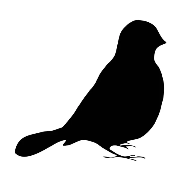 Botanische Vektorillustration Schwarze Silhouette Eines Vogels Auf Weißem Hintergrund — Stockvektor