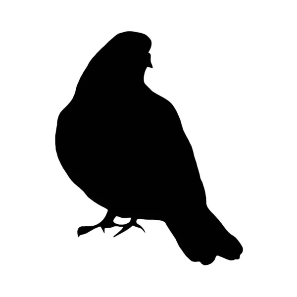 Botanische Vektorillustration Schwarze Silhouette Eines Vogels Auf Weißem Hintergrund — Stockvektor