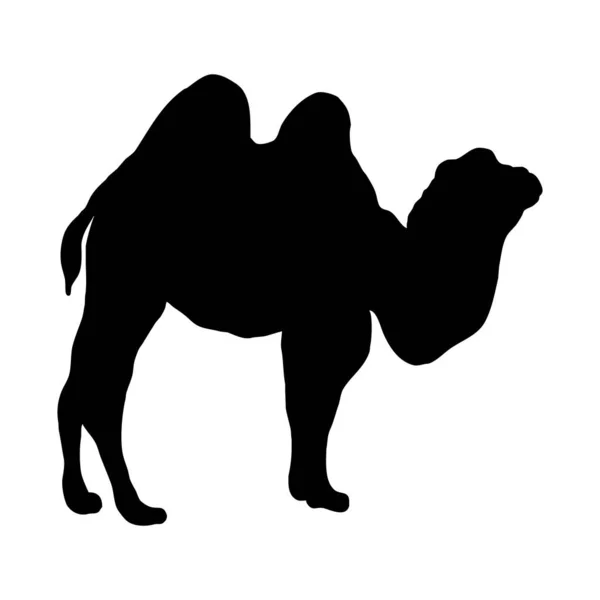 Illustration Vectorielle Animale Silhouette Noire Chameau Sur Fond Blanc — Image vectorielle