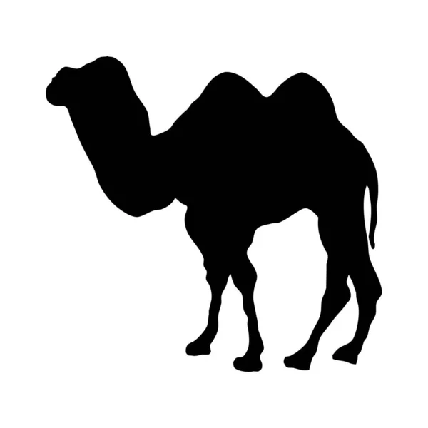 Vector Animal Illustration Black Silhouette Camel White Background — Stock Vector