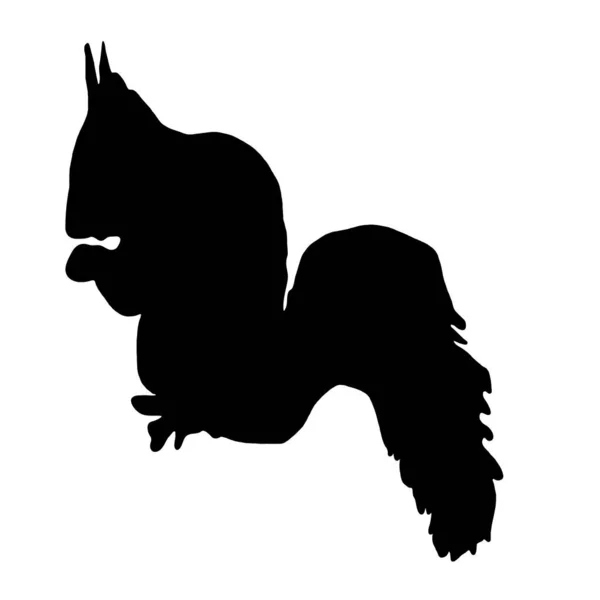 Illustration Vectorielle Animale Écureuil Noir Sur Fond Blanc — Image vectorielle