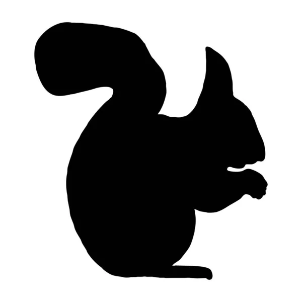 Wektorowa Ilustracja Zwierzęcia Czarna Wiewiórka Białym Tle — Wektor stockowy