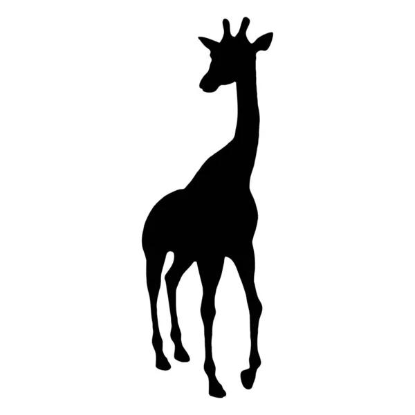 Vektör Hayvan Çizimi Beyaz Arka Planda Siyah Bir Zürafa Silueti — Stok Vektör