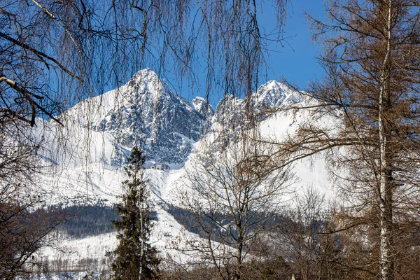 Зимовий Пейзаж Словацьких Горах Словацькі Татри Вид Сніжні Гори — стокове фото