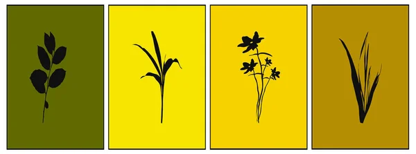 Botanikai Plakátok Gyűjteménye Kortárs Művészeti Kártya Minimalista Design Nyomtatás Borító — Stock Vector