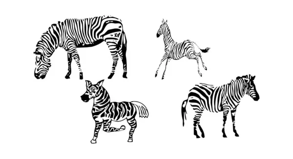 Εικονογράφηση Διανυσματικών Ζώων Μαύρη Σιλουέτα Ζέβρα Λευκό Φόντο — Διανυσματικό Αρχείο