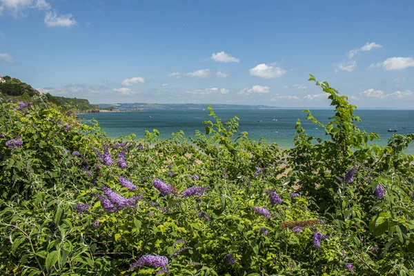 Tenby Κορνουάλη Ουαλία Αγγλία Όμορφο Καλοκαιρινό Τοπίο Στον Κόλπο Carmarthen — Φωτογραφία Αρχείου