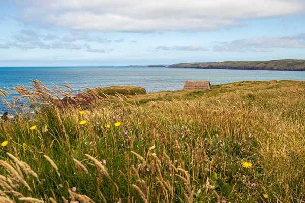 Tenby Cornwall Walia Anglia Piękny Letni Krajobraz Nad Zatoką Carmarthen — Zdjęcie stockowe