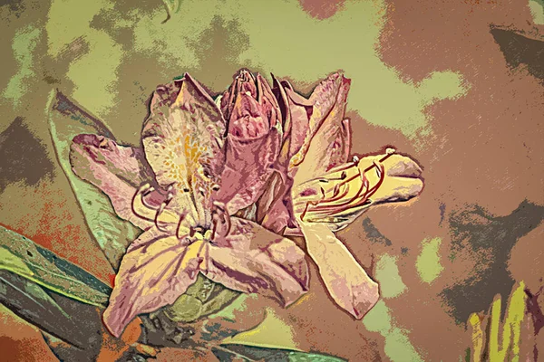 Друкована Ботанічна Ілюстрація Дизайн Інтер Єру Оздоблення Стін Картини — стокове фото