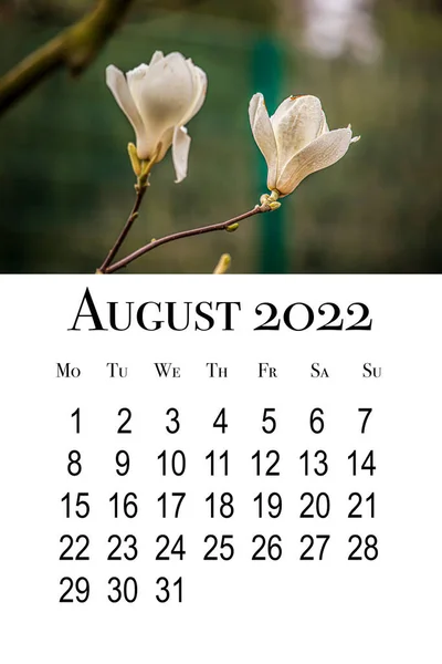 Cartão Calendário Para Agosto 2022 Calendário Parede Vertical Imprimível Semana — Fotografia de Stock