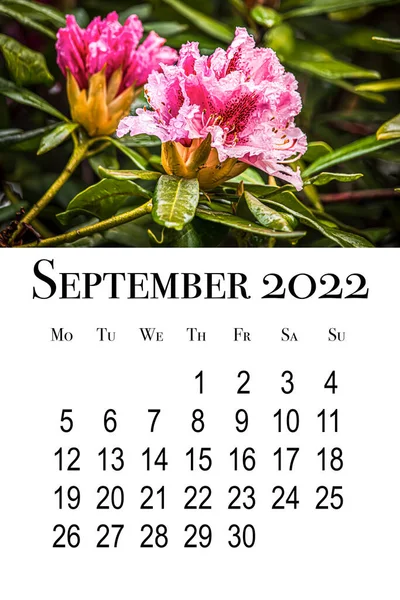 Carte Calendrier Pour Septembre 2022 Calendrier Mural Vertical Imprimable Semaine — Photo