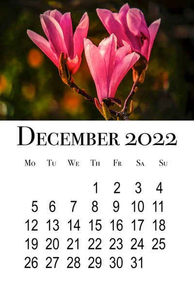 2022年12月のカレンダーカード 印刷可能な垂直壁のカレンダー 週は月曜日に始まります — ストック写真
