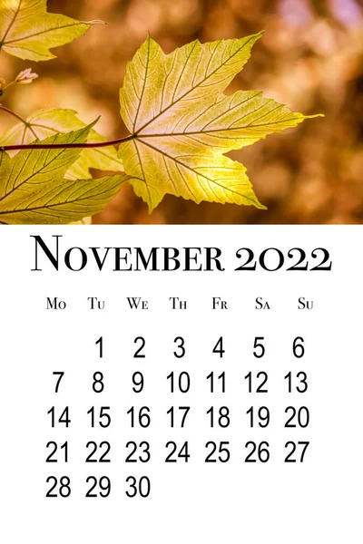 Carte Calendrier Pour Novembre 2022 Calendrier Mural Vertical Imprimable Semaine — Photo