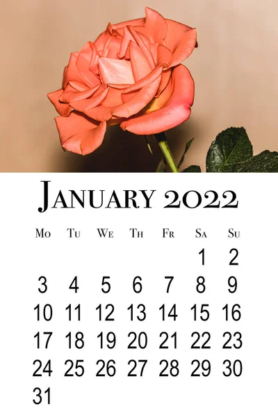 Carte Calendrier Pour Janvier 2022 Calendrier Mural Vertical Imprimable Semaine — Photo