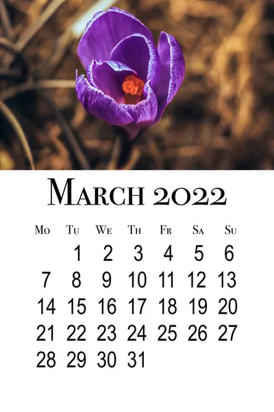 Carte Calendrier Pour Mars 2022 Calendrier Mural Vertical Imprimable Semaine — Photo