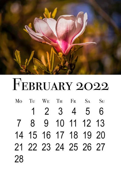 Κάρτα Ημερολογίου Φεβρουαρίου 2022 Εκτυπώσιμη Κάθετη Ημερολόγιο Τοίχου Εβδομάδα Ξεκινά — Φωτογραφία Αρχείου
