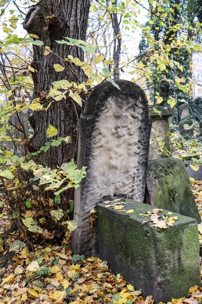 Noviembre 2018 Cracovia Polonia Cementerio Judío Tumbas Judías Antiguas — Foto de Stock