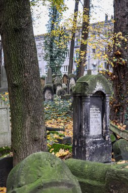 3 Kasım 2018 Krakow Polonya Yahudi mezarlığı, eski Yahudi mezarları.