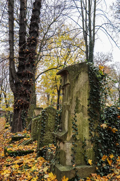 Novembre 2018 Cracovia Polonia Cimitero Ebraico Vecchie Tombe Ebraiche — Foto Stock