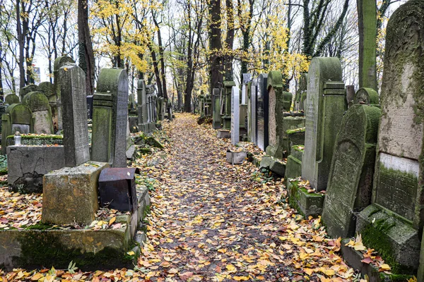 Noviembre 2018 Cracovia Polonia Cementerio Judío Tumbas Judías Antiguas — Foto de Stock