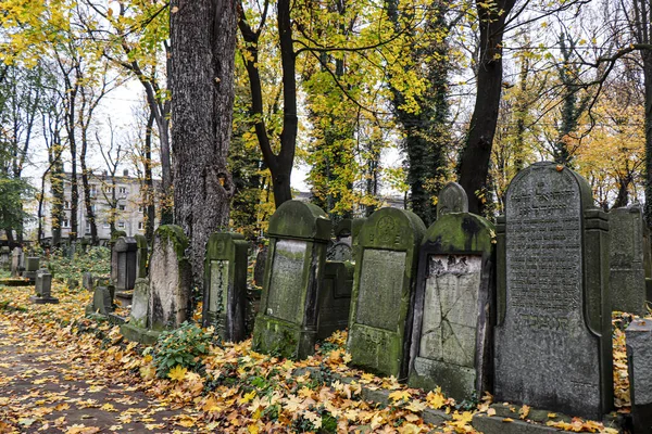 Ноября 2018 Года Краковское Еврейское Кладбище Польши Старые Еврейские Могилы — стоковое фото