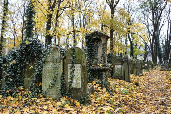 November 2018 Krakow Poland Jewish Cemetery Old Jewish Graves — Stock Photo, Image