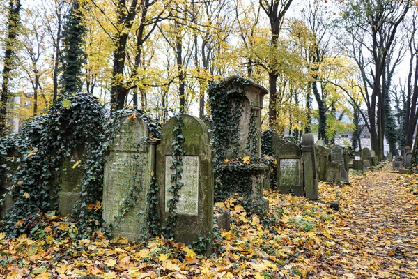 Noviembre 2018 Cracovia Polonia Cementerio Judío Tumbas Judías Antiguas — Foto de Stock