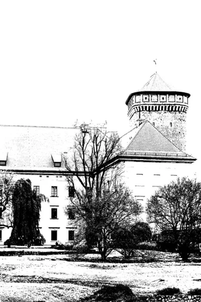 Krakov Polsko Architektura Ilustraci Historické Budovy Kresba Kresba Ilustrace Černobílé — Stock fotografie
