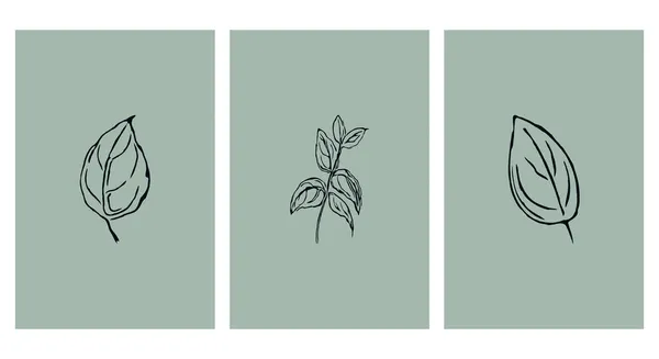 Basılabilir Botanik Çizimler Koleksiyonu Tasarım Minimalist Stil — Stok Vektör