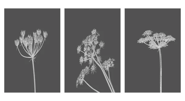 Coleção Ilustrações Botânicas Para Impressão Design Interiores Estilo Minimalista — Vetor de Stock