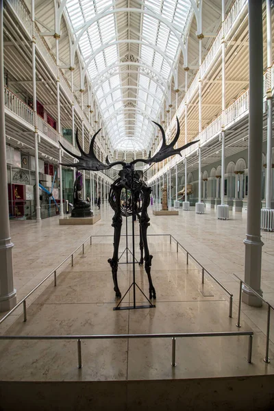 May 2021 Edinburgh Scotland England National Museum Scotland Edinburgh Exhibits — Stock Photo, Image