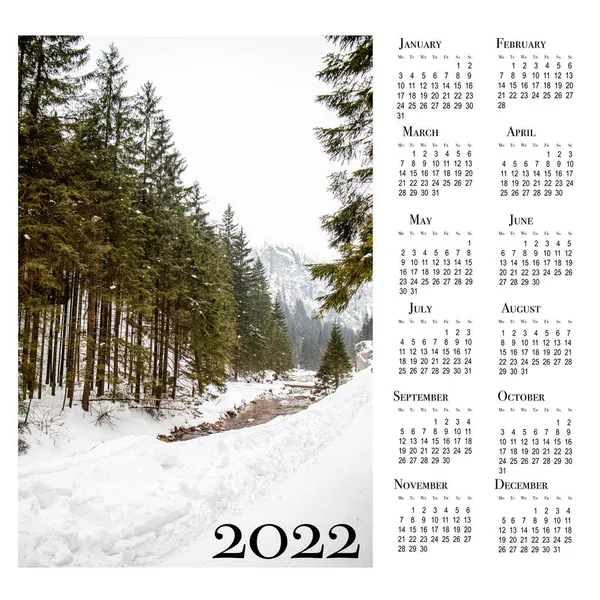 Botanický Kalendář Rok2022 Tisknutelný Nástěnný Kalendář Týden Začíná Pondělí Krásná — Stock fotografie