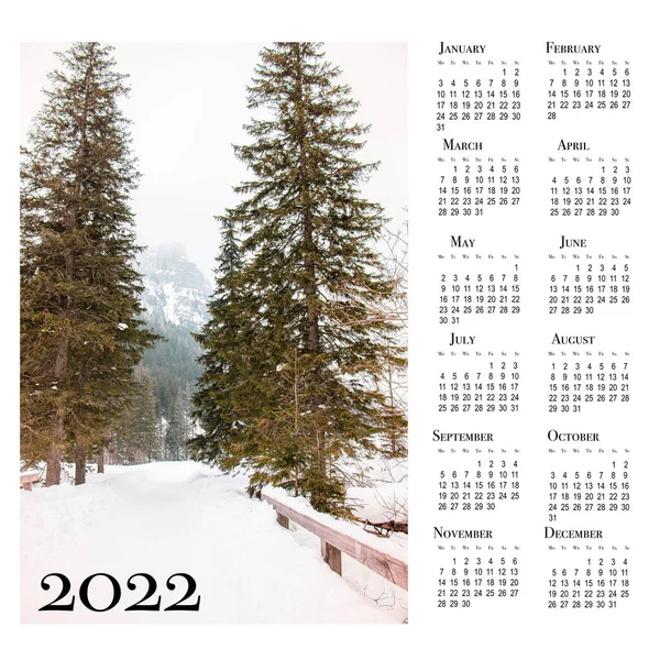 Botanický Kalendář Rok2022 Tisknutelný Nástěnný Kalendář Týden Začíná Pondělí Krásná — Stock fotografie