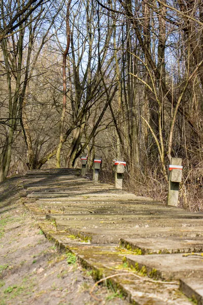 Marzo 2019 Valle Della Morte Bydgoszcz Golgota Bydgoska Luogo Dell — Foto Stock