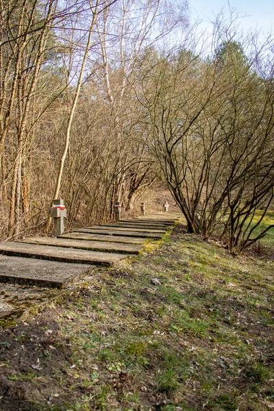 Marzo 2019 Valle Muerte Bydgoszcz Golgotá Bydgoska Lugar Del Asesinato —  Fotos de Stock