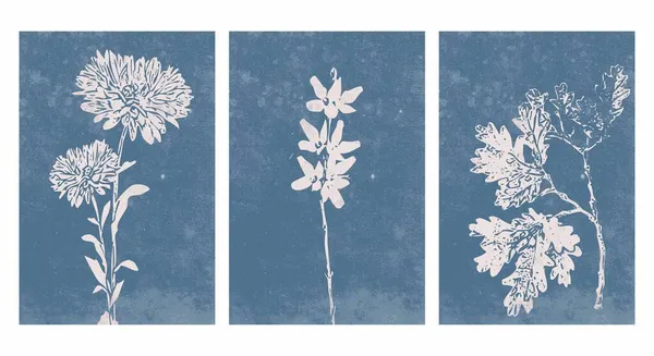 Bir dizi botanik posteri. Çağdaş sanat posteri. Baskı, kapak, duvar kağıdı, minimalist ve doğal duvar sanatı için botanik desen.