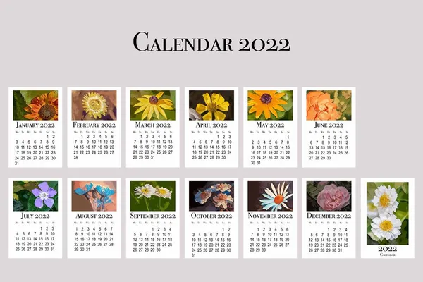 Calendario Botánico Para 2022 Calendario Pared Vertical Para 2022 Semana — Vector de stock