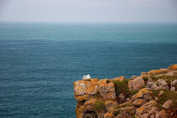 Tenby Wales Egyesült Királyság Tájkép Óceán Mellett Vízszintes Kép Vászonra — Stock Fotó
