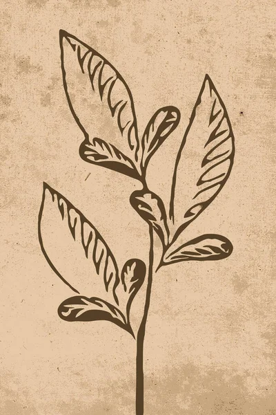 Neutralna Sztuka Ścienna Nadruk Ilustracji Botanicznej Nowoczesna Rustykalna Dekoracja Ścian — Zdjęcie stockowe