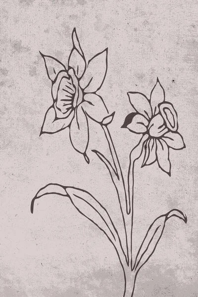 Γραμμική Τέχνη Αφηρημένη Floral Σχέδιο Για Εκτύπωση Εξώφυλλο Ταπετσαρία Minimal — Φωτογραφία Αρχείου