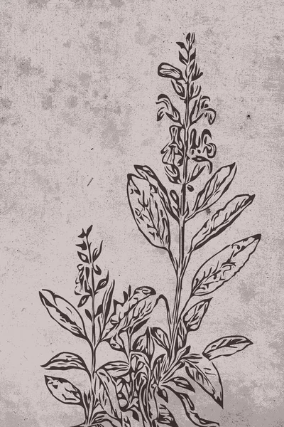 Лінійне Мистецтво Абстрактний Квітковий Дизайн Друку Обкладинки Шпалер Мінімальне Натуральне — стокове фото
