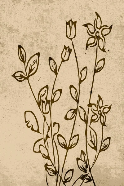 Botanische Muurkunst Lijnkunst Van Planten Tekening Met Abstracte Vorm Abstract — Stockfoto