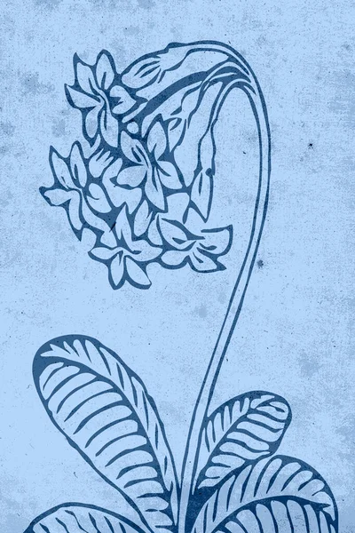 Sztuka Ścian Botanicznych Linia Sztuka Roślina Rysunek Abstrakcyjny Kształt Abstrakcyjny — Zdjęcie stockowe